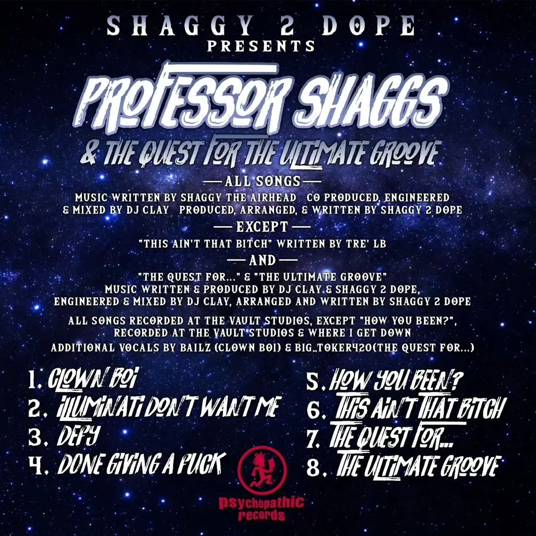 Shaggy 2 Dope - Professor Shaggs & The Quest For The Ultimate Groove - Image 2
